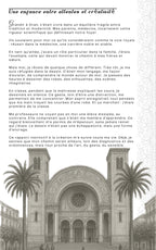 كتاب إلكتروني بعنوان "ابتكر، اسقط، انهض من جديد، وتألق"